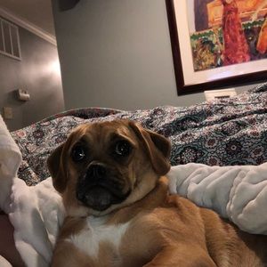 Meet your Posher, Loren